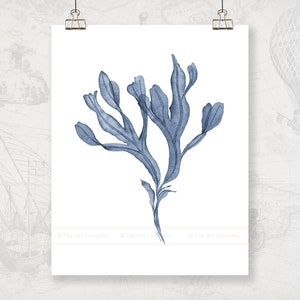May include: A watercolor painting of a blue seaweed plant on a white background.