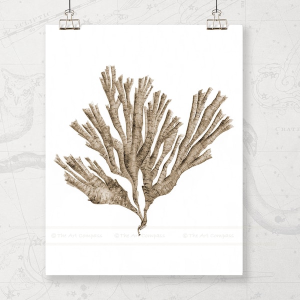 Coastal Wall Art Digital Print of Botanical Sea Fan Painting, Warm Neutral Wall Art for Living Room, Dining Room Wall Decor, Coffee Brown