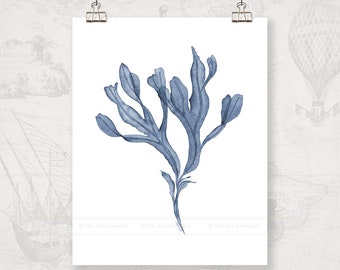 Blue Sea Fan Digital Download Printable Art, Watercolor Coral Print, Navy Wall Art for Coastal Decor, Plant Art for Bathroom Wall Decor