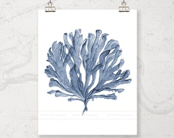 Coral Sea Fan Printable Art, Instant Digital Print Download, Coastal Decor, Blue Seaside Artwork for Walls, Bedroom Wall Art Over the Bed