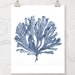Coral Sea Fan Printable Art Instant Digital Print Download | Etsy