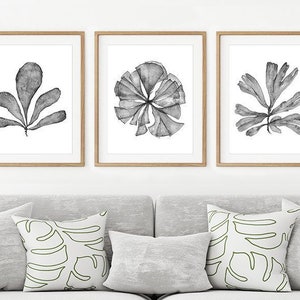 Printable Wall Art Botanical Print Set of 3 Watercolour Paintings ...