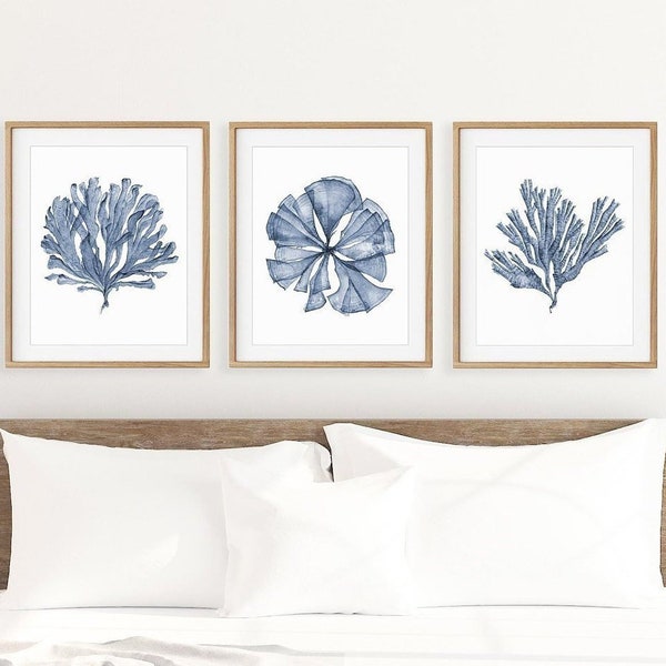 Botanical print set of 3 sea fan watercolor paintings, printable art 8x10 16x20 24x30, blue artwork for walls, dining living room wall decor