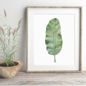 May include: A framed watercolor painting of a single green banana leaf on a white background.