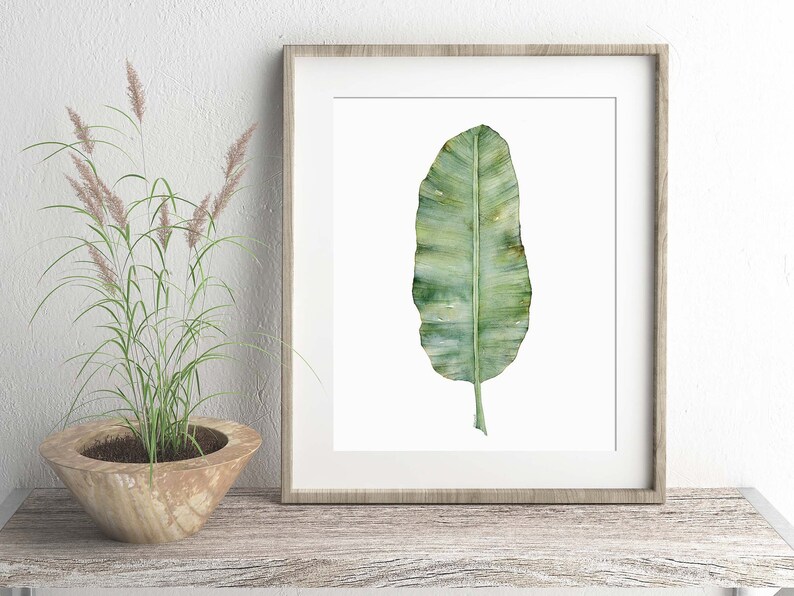May include: A framed watercolor painting of a single green banana leaf on a white background.