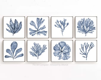 Square Art Print Set of 8 Prints, Printable Wall Art Blue Coral Sea Fan Paintings, Hampton Style Coastal Living Room Wall Decor 4x4 to 24x24