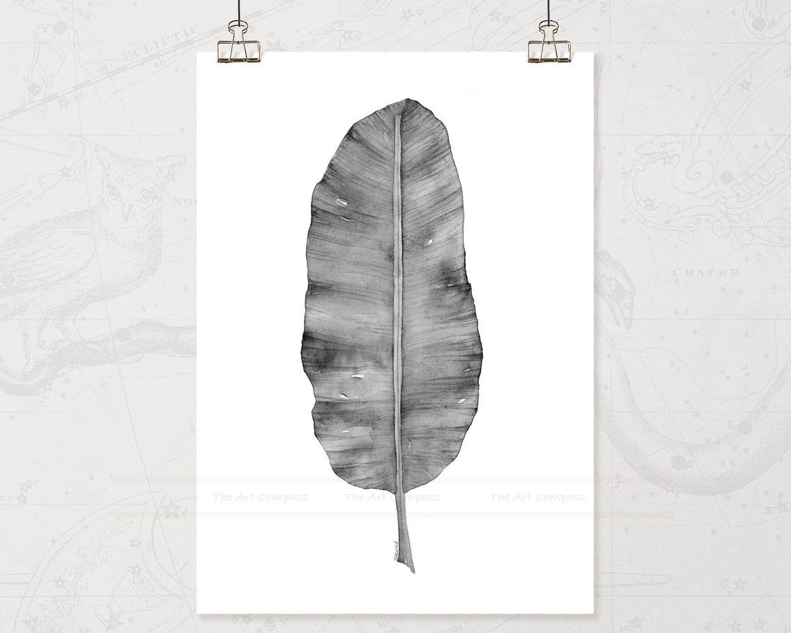 Printable Wall Art Botanical Leaf Black and White Digital - Etsy