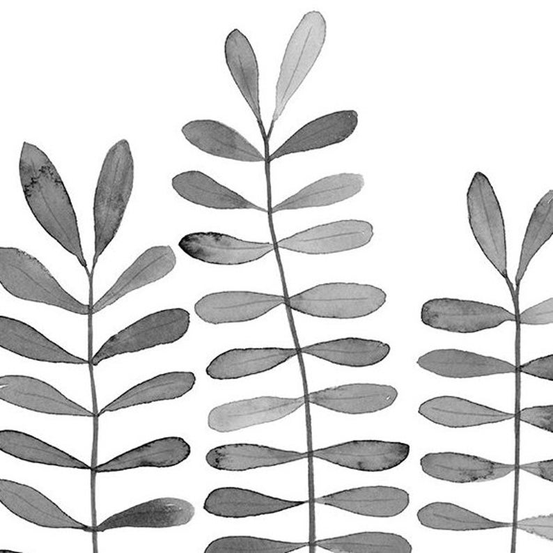 Printable Art Print of Black and White Plant Illustration - Etsy
