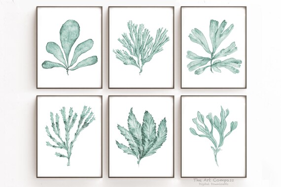 Porcelain Blue Green Printable Wall Art, Set of 6 Sea Fan Watercolor Paintings 11x14 Inches, Digital Prints Download, Living Room Wall Decor