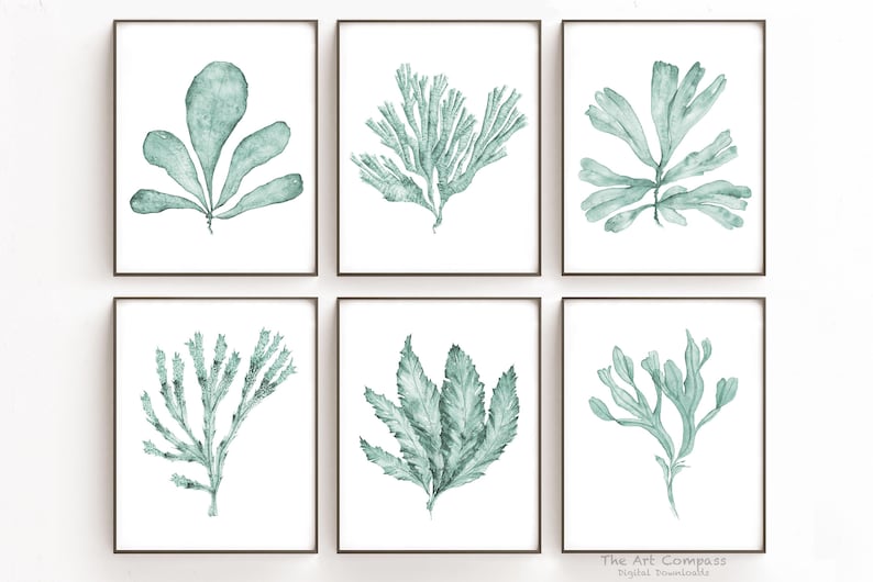 May include: Set of six watercolor prints featuring various types of seaweed in shades of green. The prints are framed in black frames and displayed on a white wall.