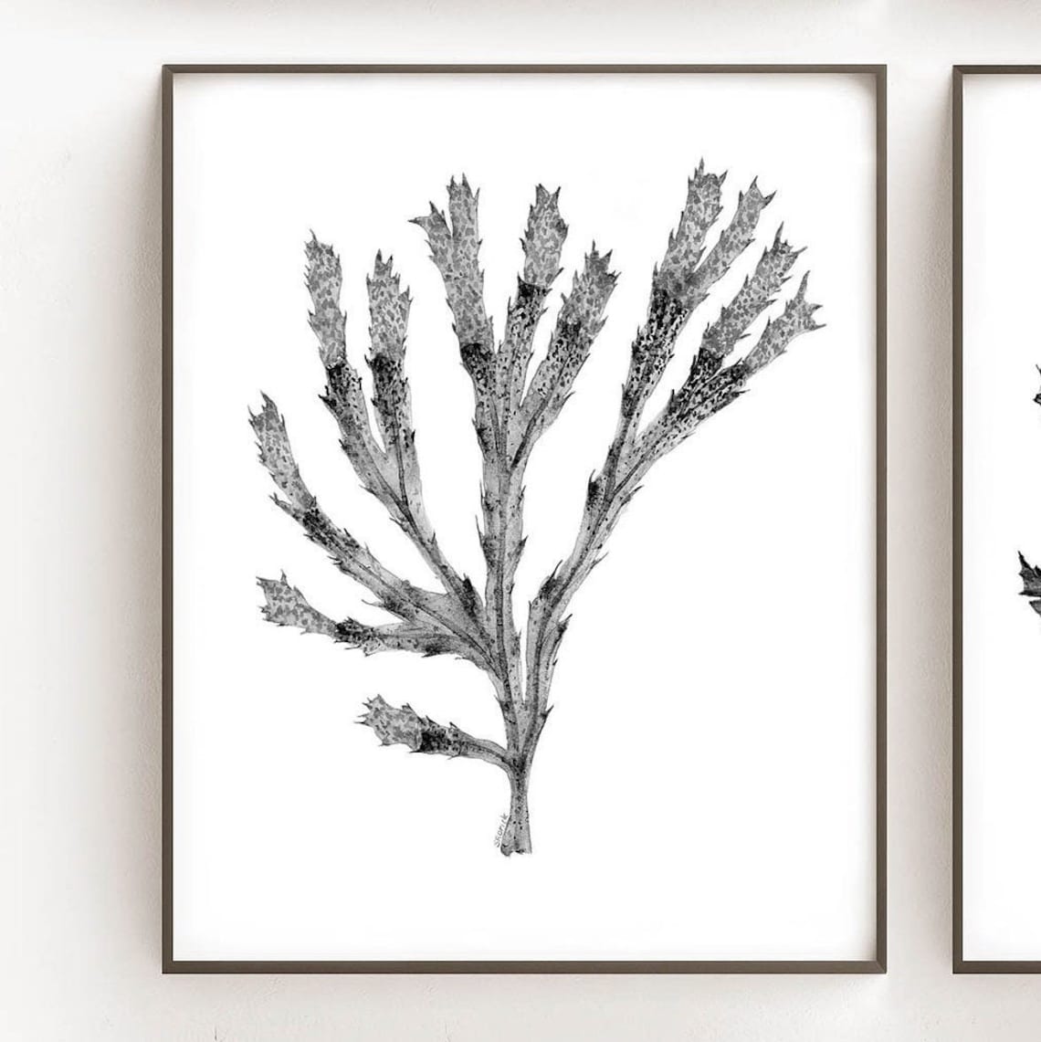 Printable Wall Art Black and White Botanical Print Set of 6 | Etsy