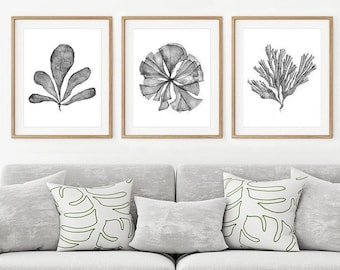 Black and White Art Print Set of 3 Digital Prints Download, Printable Wall Art Sea Fan Watercolour Paintings 8x10 16x20 24x30, Coastal Decor