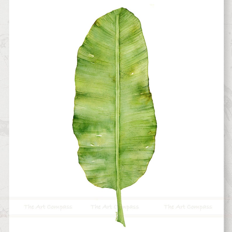Printable Art Prints, Green Tropical Leaf Art, Botanical Gallery Wall Set of 6 Prints of Watercolor Paintings, Square Artwork for Walls
