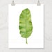 Printable Wall Art Size 11x14 Inches Botanical Prints Gallery - Etsy
