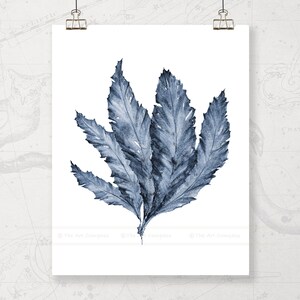May include: A watercolor painting of blue seaweed on a white background.