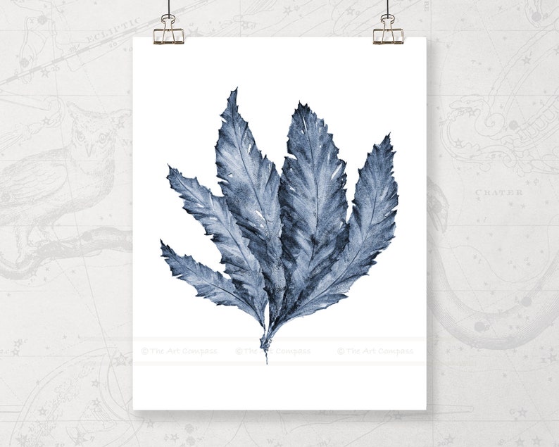 May include: A watercolor painting of blue seaweed on a white background.