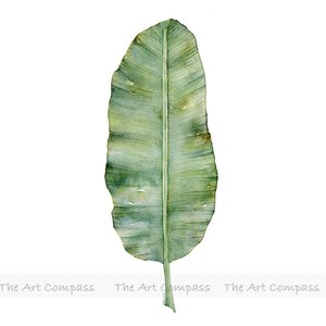 Printable Wall Art, Digital Download, Watercolor Botanical Print Set of 2 Prints, Fern and Banana Leaf Wall Decor in 8x10 11x14 16x20 inch