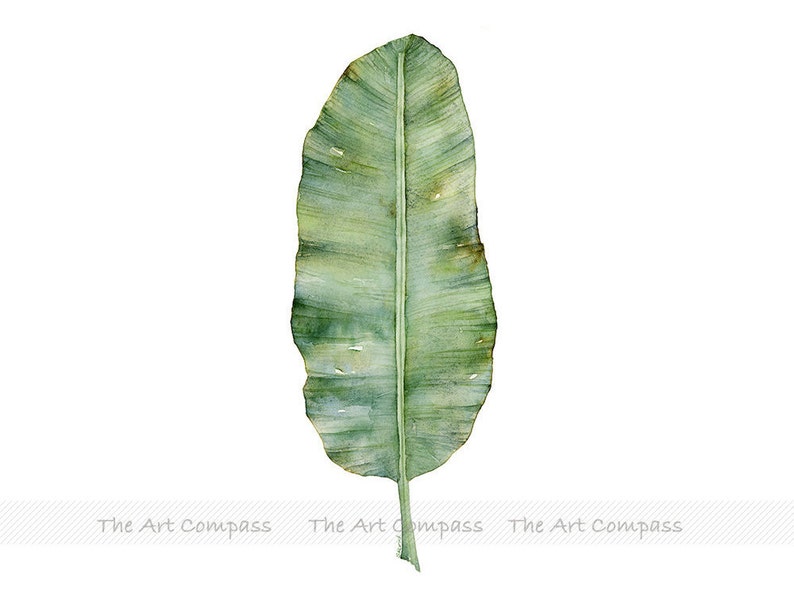 Printable Wall Art, Digital Download, Watercolor Botanical Print Set of 2 Prints, Fern and Banana Leaf Wall Decor in 8x10 11x14 16x20 inch