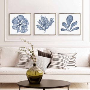 Art Printable Set of 3 Square Downloadable Prints of Navy Blue Sea Fan Watercolour Paintings, Matching Three Piece Living Room Wall Decor