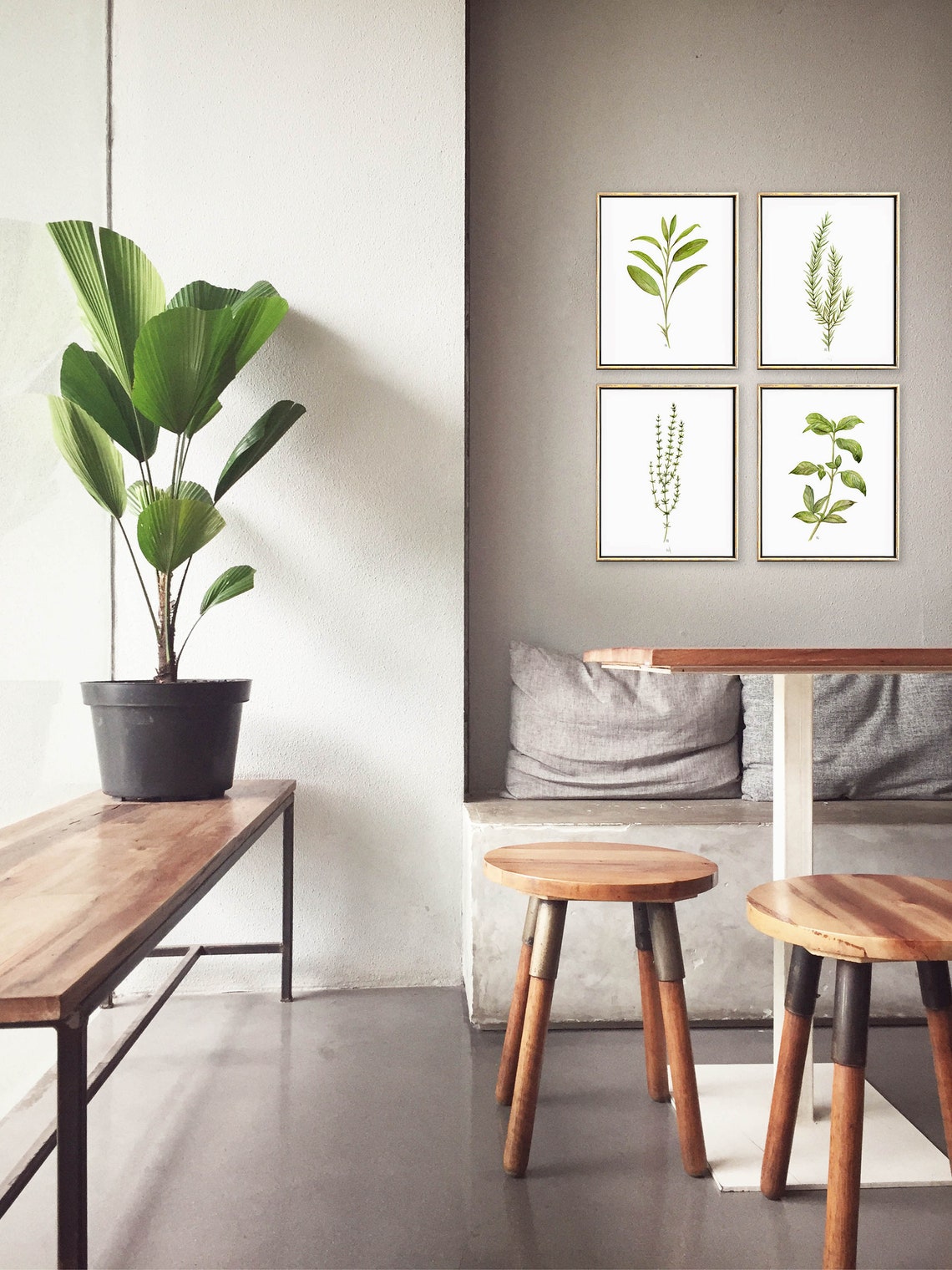 Herb Prints Set of 4 Plant Printable Wall Art Kitchen Wall Etsy