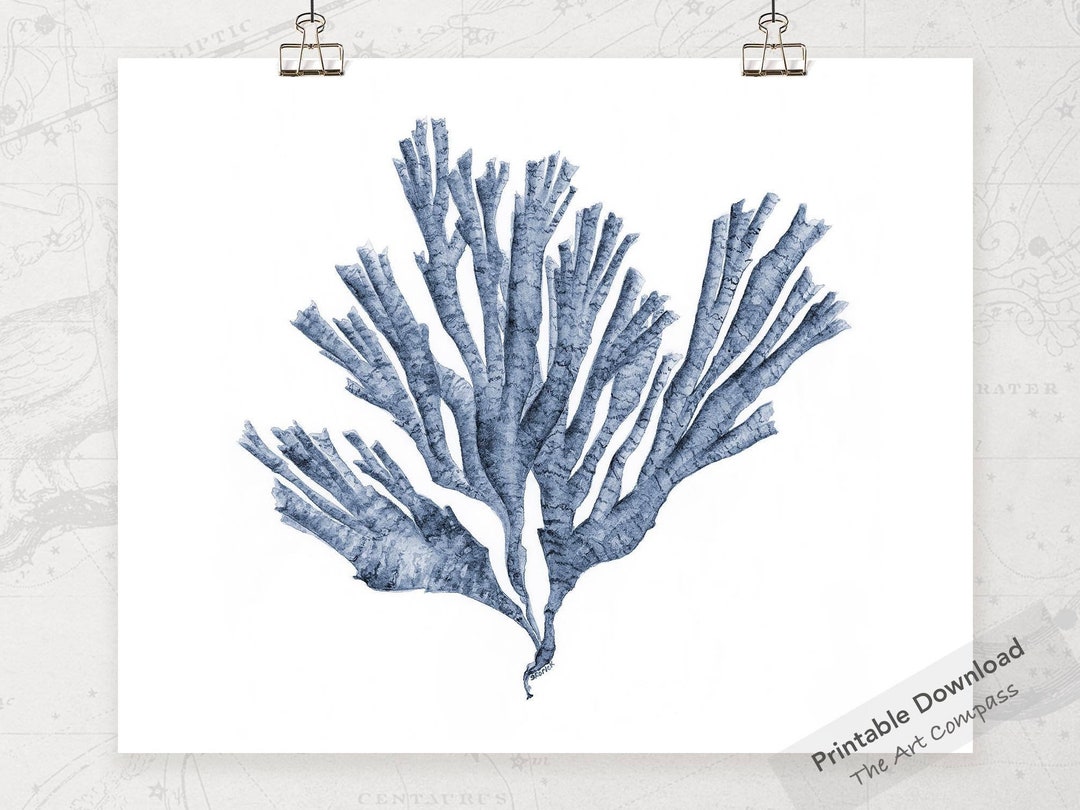 Printable Art of Coral Sea Fan Watercolour Painting, Instant Download ...