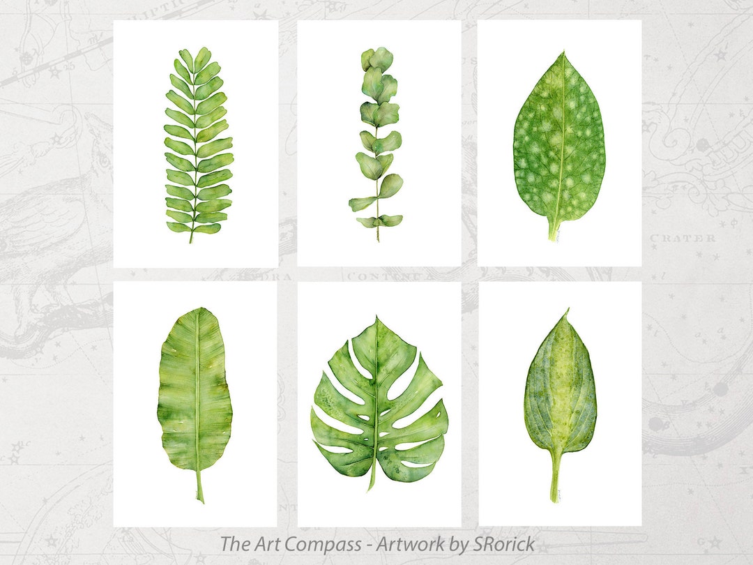 Printable Wall Art, Botanical Prints Gallery Wall Set of 6 Green ...