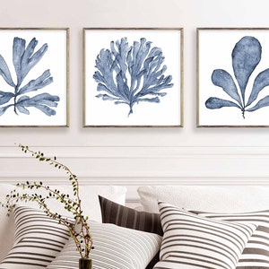 Square Wall Art Set of 3 Prints, Digital Print Download of Three Blue Sea Fan Watercolor Paintings, Matching Pictures Three Piece Wall Decor