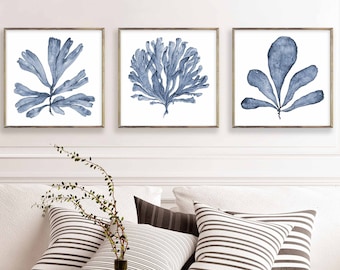 Conjunto de arte de pared cuadrada de 3 impresiones, descarga de impresión digital de tres pinturas de acuarela de abanico de mar azul, imágenes a juego Decoración de pared de tres piezas