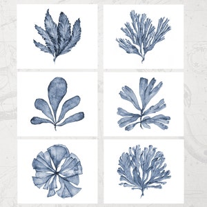 Printable Art Set of 6 Downloadable Prints, Landscape 8x10 16x20 24x30, Coral Sea Fan Watercolor Painting, Hamptons Style Coastal Wall Decor