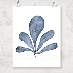 May include: A watercolor painting of a blue seaweed plant with five leaves on a white background.