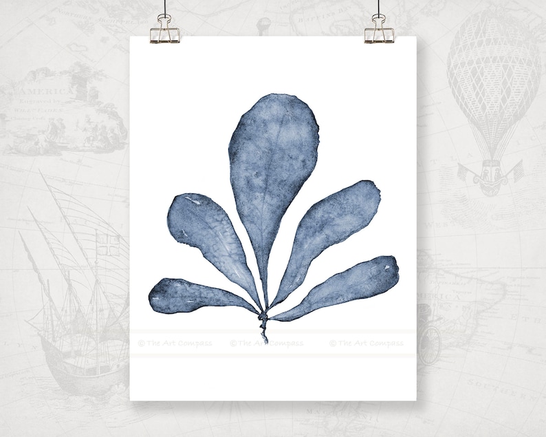 May include: A watercolor painting of a blue seaweed plant with five leaves on a white background.