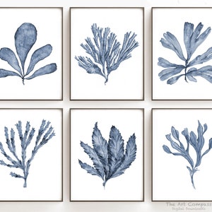 May include: Set of six watercolor prints featuring blue seaweed illustrations. Each print depicts a different type of seaweed with intricate details. The prints are framed in simple black frames and arranged in a grid pattern.