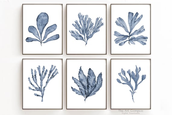 Digital Prints Download, Coastal Printable Wall Art Set of 6 Sea Fan Watercolor Paintings in 11x14 Inches, Deep Navy Blue Bedroom Wall Decor