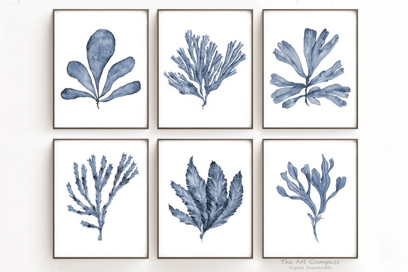 May include: Set of six watercolor prints featuring blue seaweed illustrations. Each print depicts a different type of seaweed with intricate details. The prints are framed in simple black frames and arranged in a grid pattern.