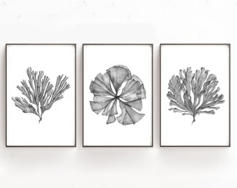 Printable Art Set of 3 Black and White Botanical Watercolor Paintings of Sea Fan Coral, Print Files 4x6 8x12 20x30 24x36, Artwork for Walls