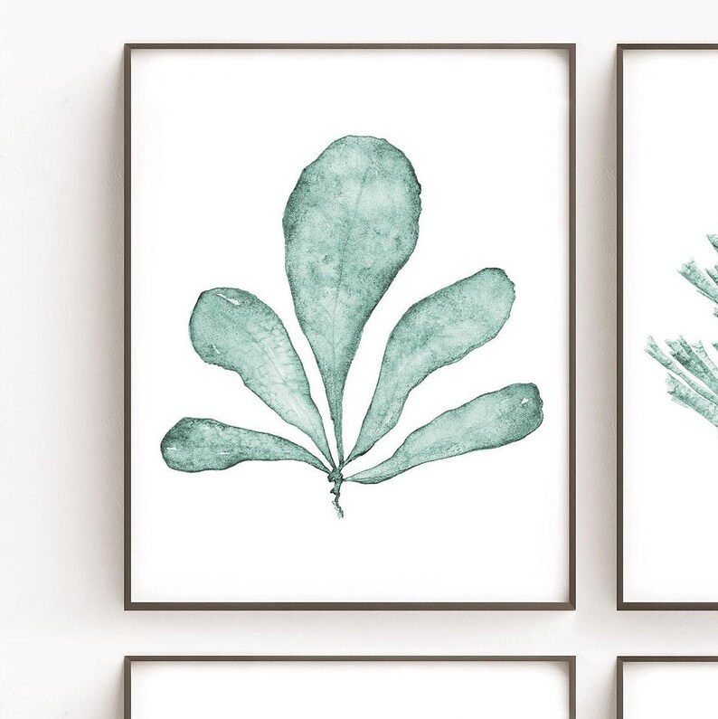 May include: A watercolor painting of a teal green seaweed with five fan-shaped leaves. The seaweed is isolated on a white background.