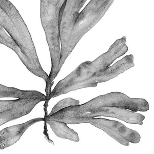Printable Wall Art Botanical Print Set of 3 Watercolour Paintings, Black and White Prints 8x10 16x20 24x30 Coastal Artwork Office Wall Decor