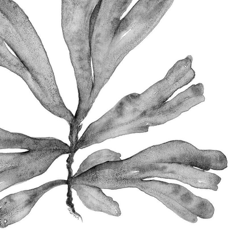Printable Wall Art Botanical Print Set of 3 Watercolour Paintings, Black and White Prints 8x10 16x20 24x30 Coastal Artwork Office Wall Decor
