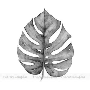 Puede incluir: Una pintura de acuarela en blanco y negro de una sola hoja de monstera.