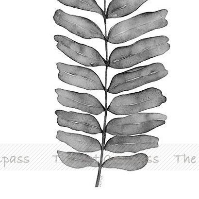 Printable Wall Art in Black and White Botanical Print Digital | Etsy
