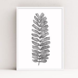 Puede incluir: Una ilustraci&oacute;n de acuarela en blanco y negro de una sola hoja de helecho.