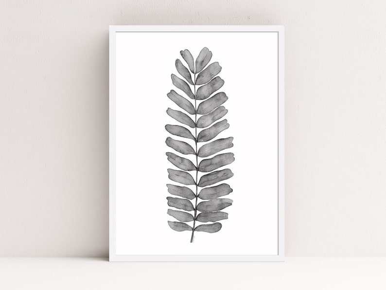 Puede incluir: Una ilustraci&oacute;n de acuarela en blanco y negro de una sola hoja de helecho.