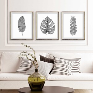 Puede incluir: Tres impresiones en blanco y negro de hojas tropicales enmarcadas. Las impresiones est&aacute;n colgadas en una pared blanca sobre un sof&aacute; blanco con almohadas a rayas.
