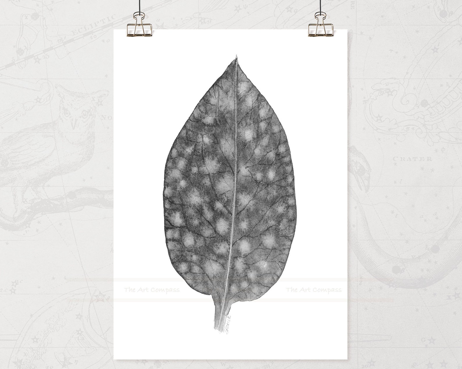 Printable Wall Art Botanical Leaf Black and White Digital | Etsy