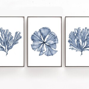 Printable Art Set of 3 Botanical Watercolor Paintings of Sea Fan Coral, Print Files 4x6 8x12 20x30 24x36, Blue Artwork Bedroom Wall Decor