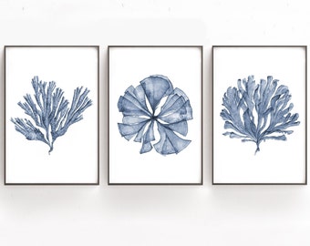 Printable Art Set of 3 Botanical Watercolor Paintings of Sea Fan Coral, Print Files 4x6 8x12 20x30 24x36, Blue Artwork Bedroom Wall Decor