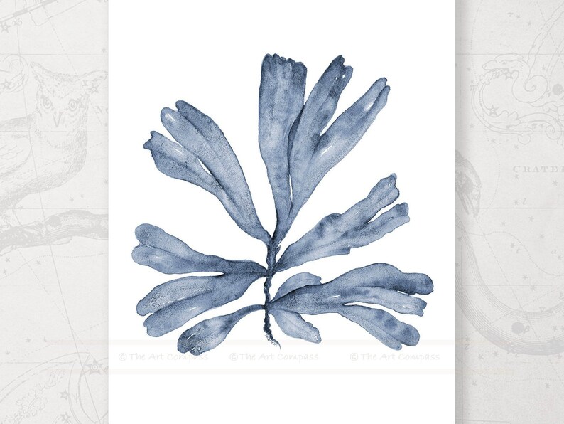 Printable Wall Art Set of 3 Instant Download Watercolor Paintings, 50cm ...