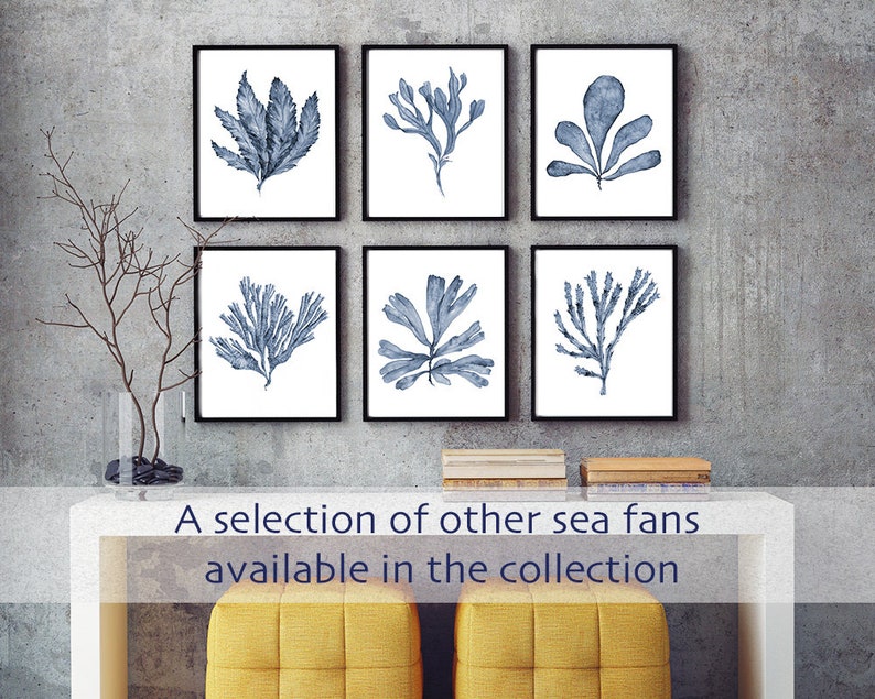 May include: A set of six framed prints featuring watercolor illustrations of blue sea fans. The prints are arranged in a grid pattern on a gray wall.