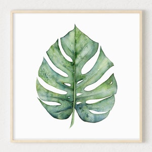 May include: A watercolor painting of a single green monstera leaf with a white background.