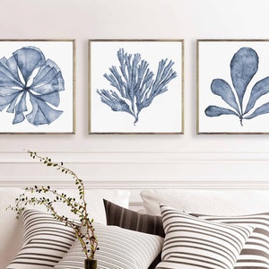Art Printable Set of 3 Square Downloadable Prints of Navy Blue Sea Fan Watercolour Paintings, Matching Three Piece Living Room Wall Decor